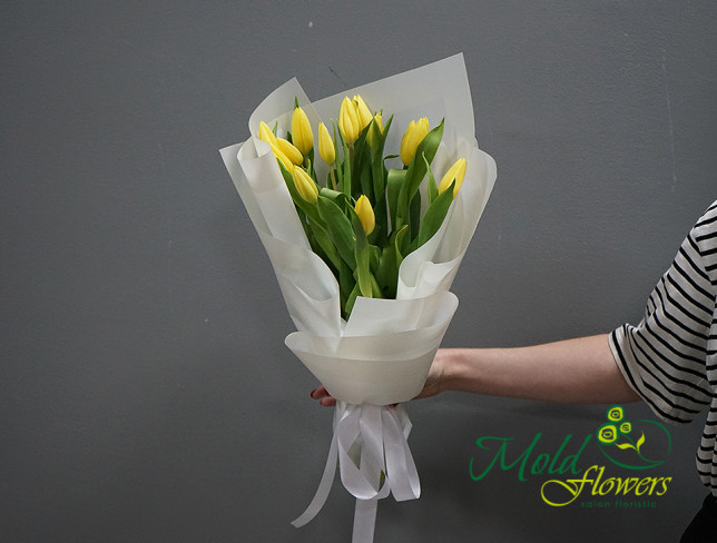 Букет из 13 желтых тюльпанов Фото
